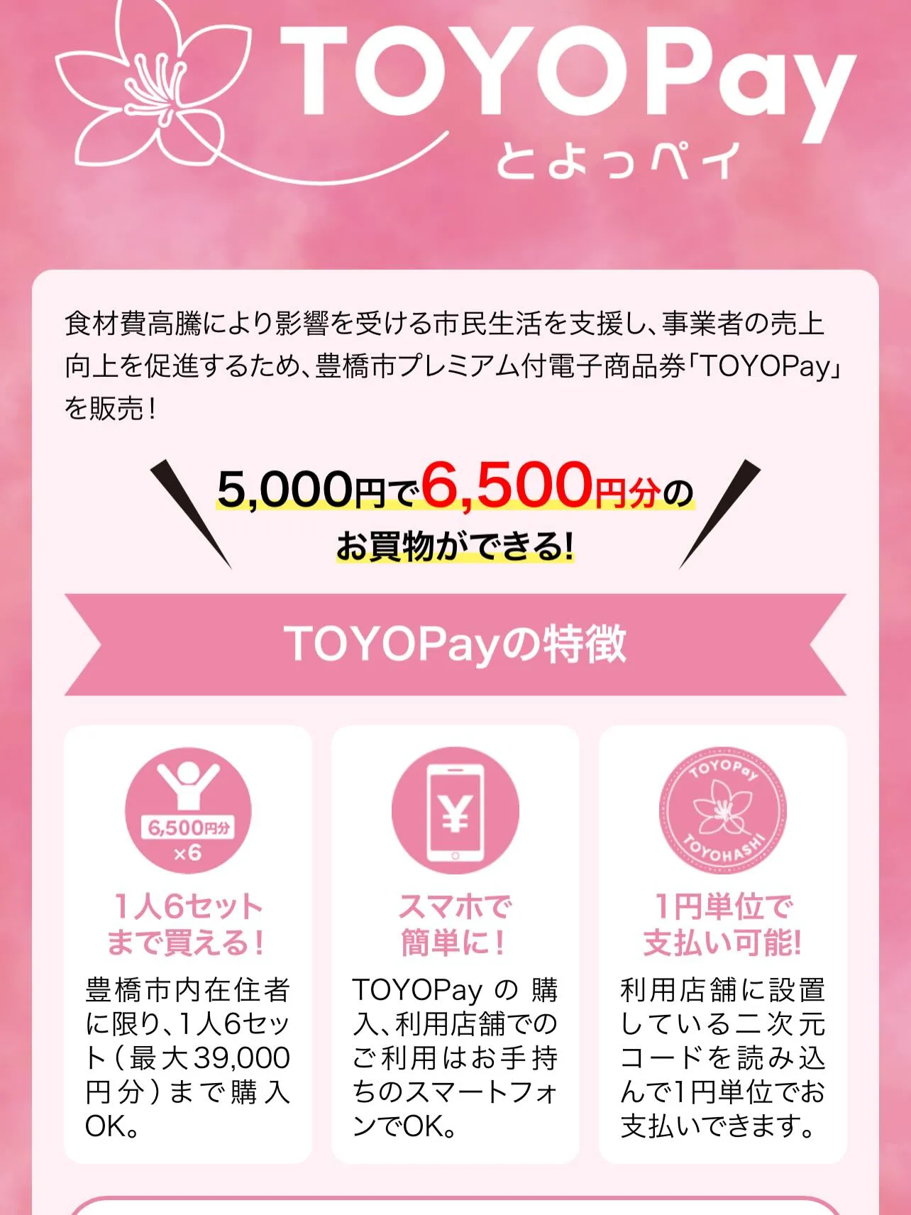 ✨ とよっペイ、使えます!