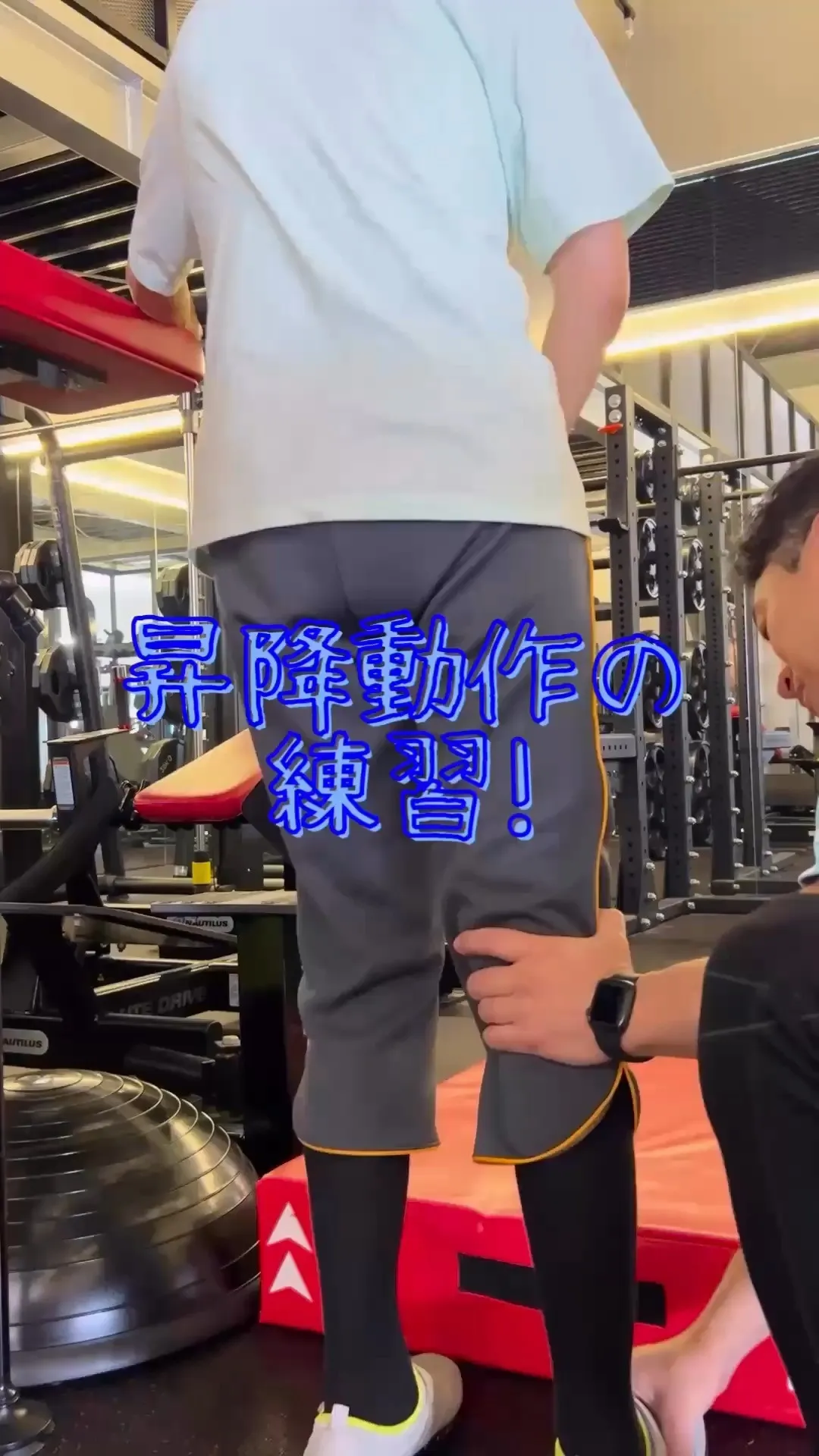 私たちが日常的に行っている段差昇降、実はただの脚の上下運動で...